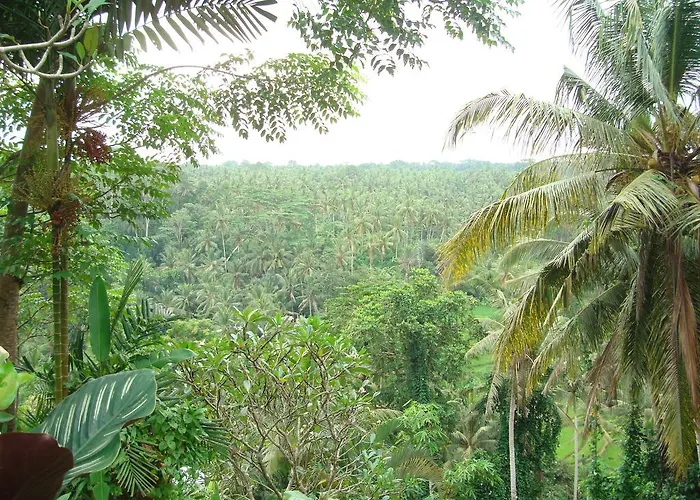 Sayan Terrace Resort Ubud (Bali)
