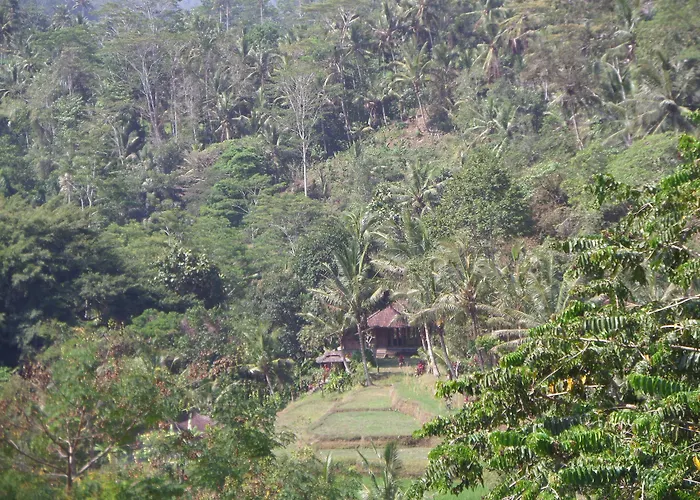 Sayan Terrace Resort