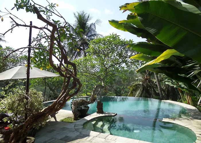 Resort Sayan Terrace 4*