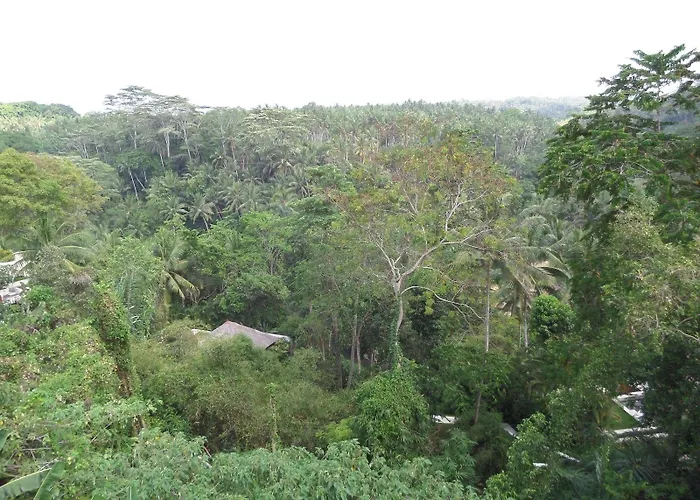 Sayan Terrace 4* Ubud (Bali)
