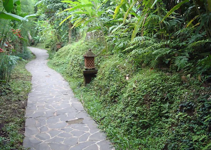Resort Sayan Terrace