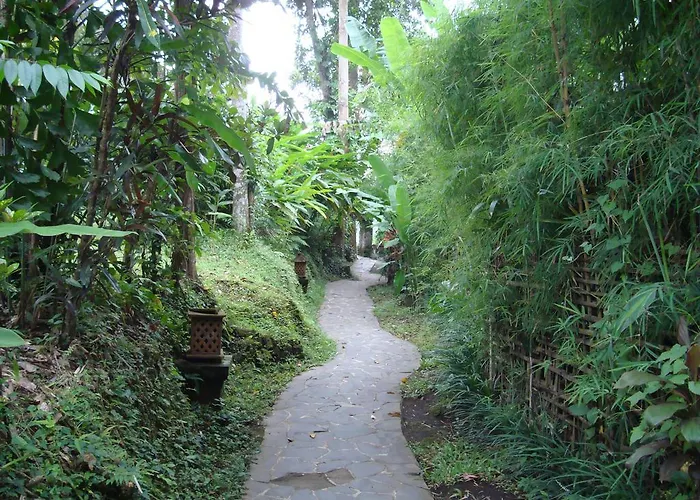 Sayan Terrace Resort